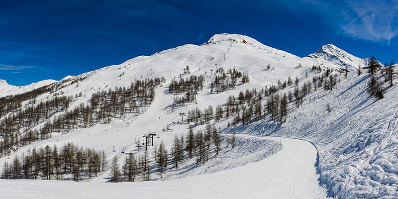 Ula splendida pista da sci circondata da alberi innevate sbuca dalla vetta di una montanga.