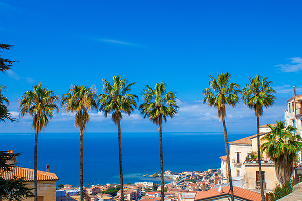 Panorama su borgo di Belvedere Marittimo, in Calabria. Il mare cristallino e la costa di sabbia fine fa da sfondo alle palme poste in primo piano